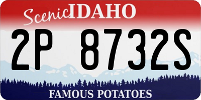 ID license plate 2P8732S