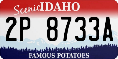 ID license plate 2P8733A