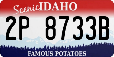 ID license plate 2P8733B