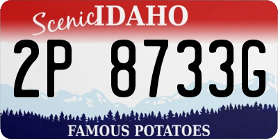 ID license plate 2P8733G