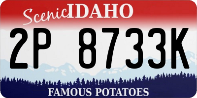 ID license plate 2P8733K