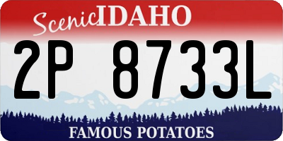 ID license plate 2P8733L