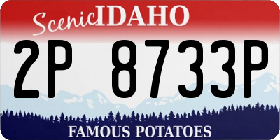 ID license plate 2P8733P