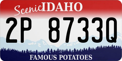 ID license plate 2P8733Q