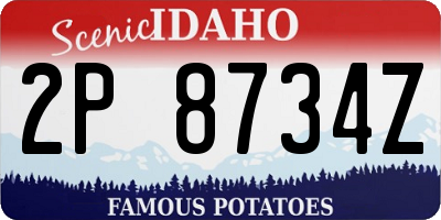 ID license plate 2P8734Z