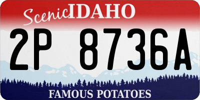 ID license plate 2P8736A