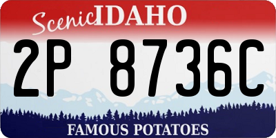 ID license plate 2P8736C