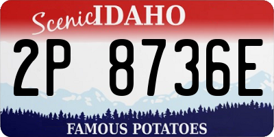 ID license plate 2P8736E
