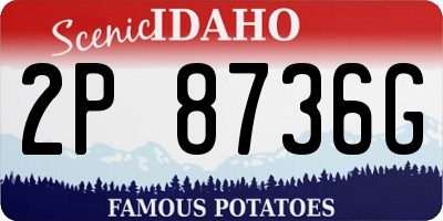 ID license plate 2P8736G