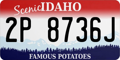 ID license plate 2P8736J