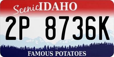 ID license plate 2P8736K