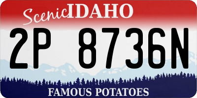 ID license plate 2P8736N