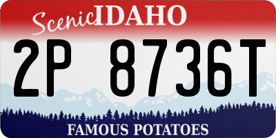 ID license plate 2P8736T