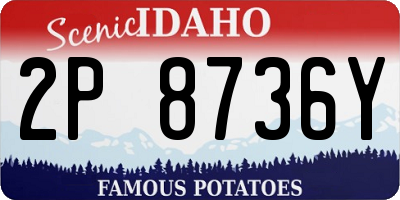 ID license plate 2P8736Y