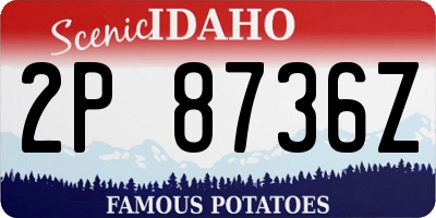 ID license plate 2P8736Z
