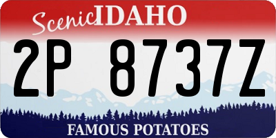 ID license plate 2P8737Z