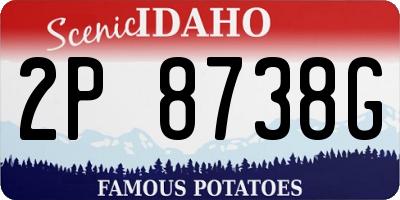ID license plate 2P8738G