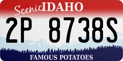 ID license plate 2P8738S