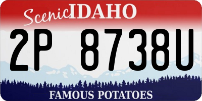ID license plate 2P8738U