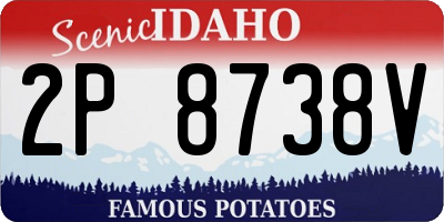 ID license plate 2P8738V