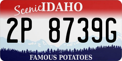ID license plate 2P8739G