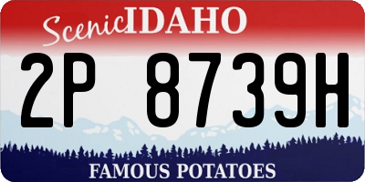 ID license plate 2P8739H