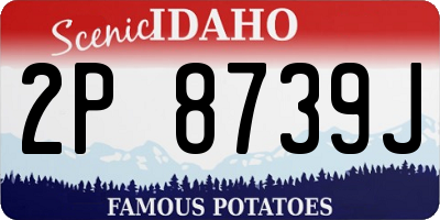 ID license plate 2P8739J