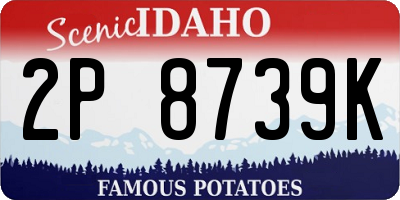 ID license plate 2P8739K