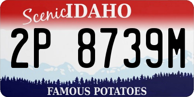 ID license plate 2P8739M
