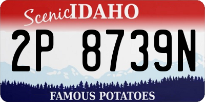ID license plate 2P8739N