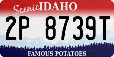 ID license plate 2P8739T