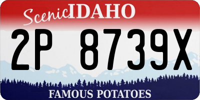 ID license plate 2P8739X