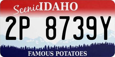 ID license plate 2P8739Y