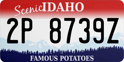 ID license plate 2P8739Z