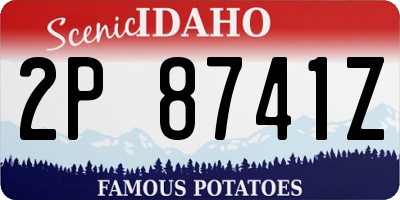 ID license plate 2P8741Z