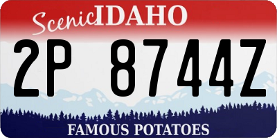 ID license plate 2P8744Z