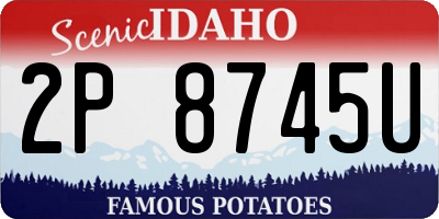 ID license plate 2P8745U