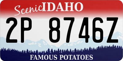 ID license plate 2P8746Z