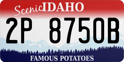 ID license plate 2P8750B
