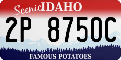 ID license plate 2P8750C