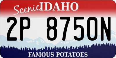 ID license plate 2P8750N