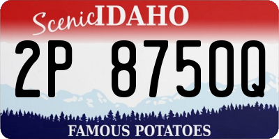 ID license plate 2P8750Q