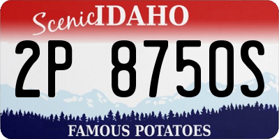 ID license plate 2P8750S