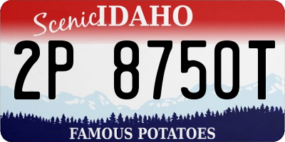 ID license plate 2P8750T