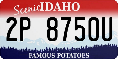 ID license plate 2P8750U
