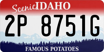 ID license plate 2P8751G