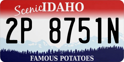 ID license plate 2P8751N