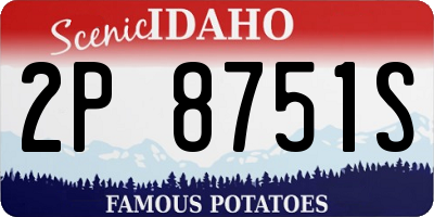 ID license plate 2P8751S