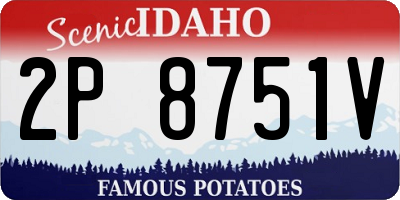 ID license plate 2P8751V