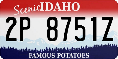 ID license plate 2P8751Z